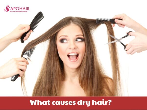 What Causes Dry Hair Culprits And Solutions Apohair