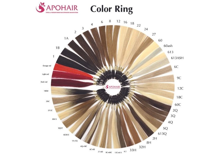 Color ring of Apohair for you to choose the right color 