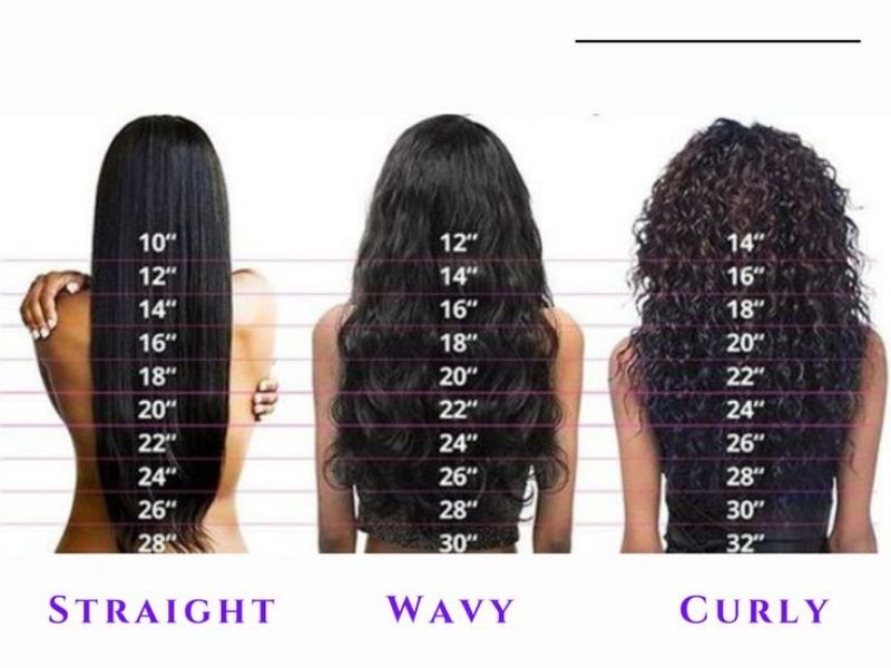 Wig Length Chart In Inches 53 OFF