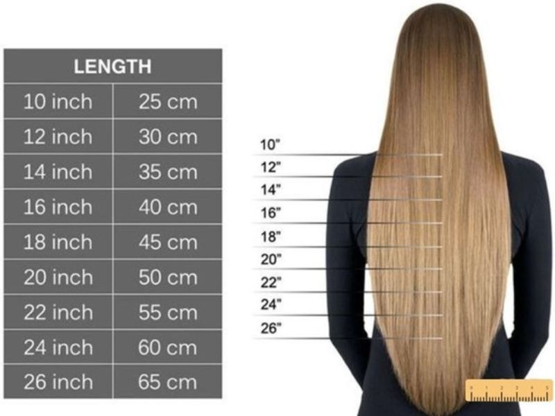 Hair length chart for long hair