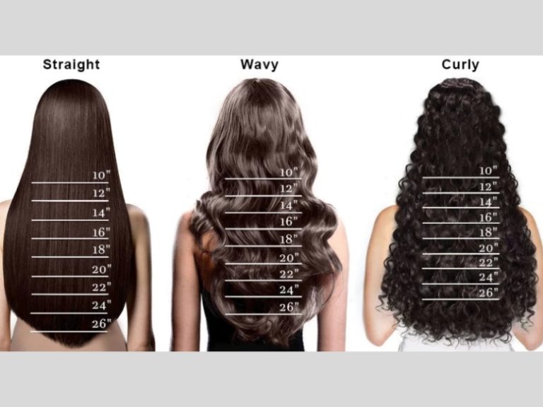 Curly Hair Length Chart Path to Perfect Curls Apohair