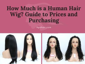 How Much is A Human Hair Wig Guide To Prices Apohair