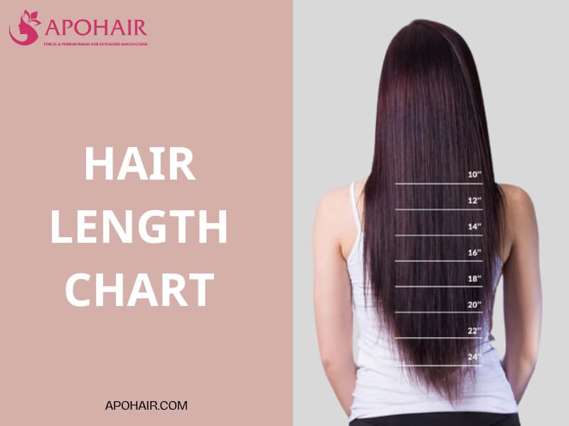 Hair Length Chart