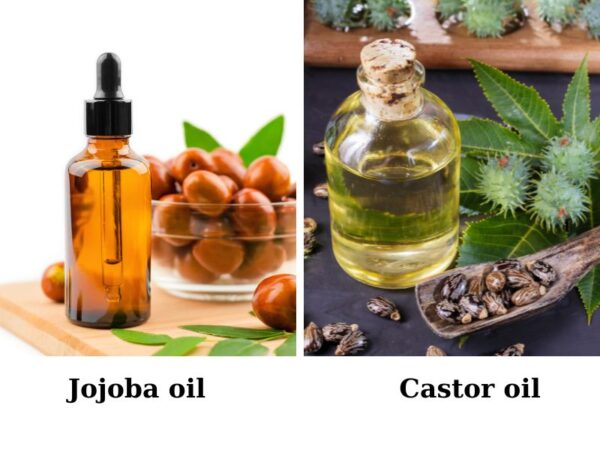 Jojoba Oil Vs Castor Oil Which One Is Better Apohair