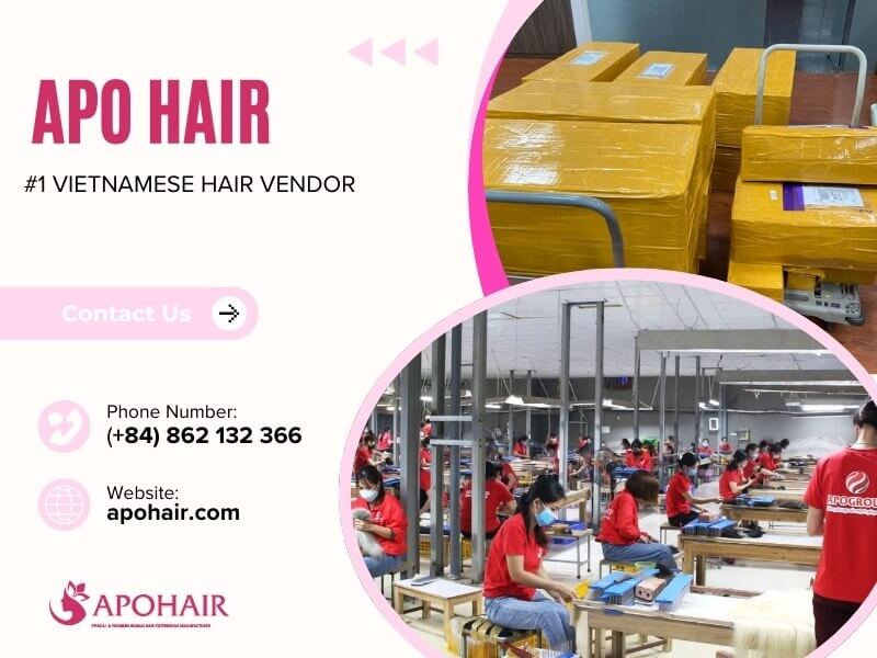 Apohair has the largest factory in Vietnam