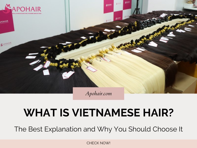 What is Vietnamese Hair?