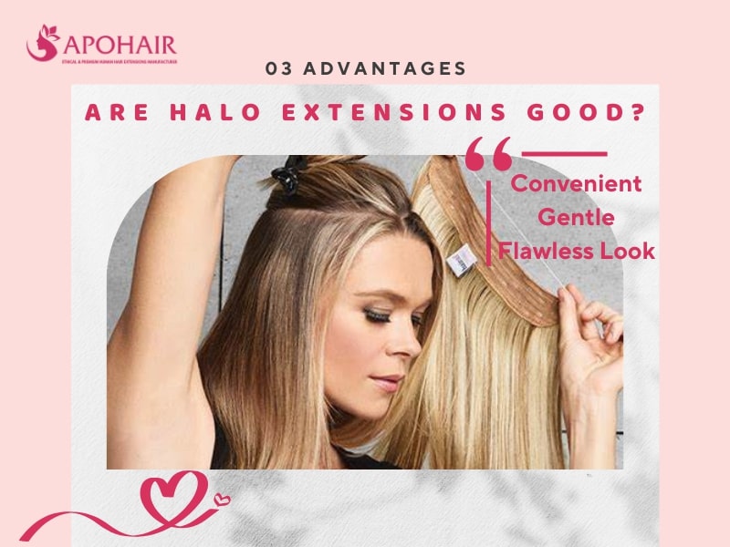 Easy to use is the best thing to consider when choosing halo extensions