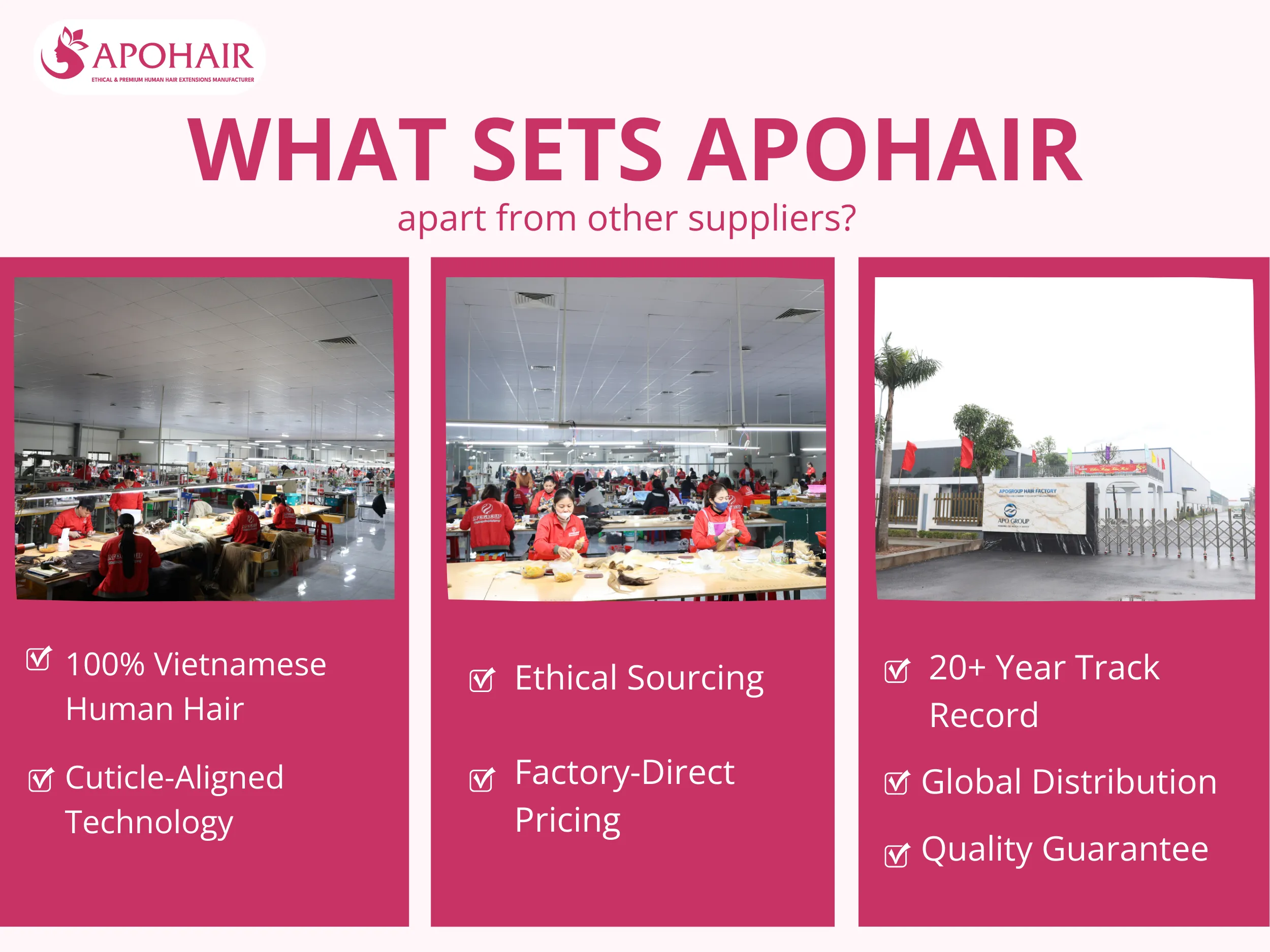 APOHAIR delivers premium Vietnamese hair extensions with 100% human hair