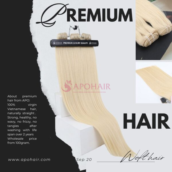 Premium Weft Hair Extensions