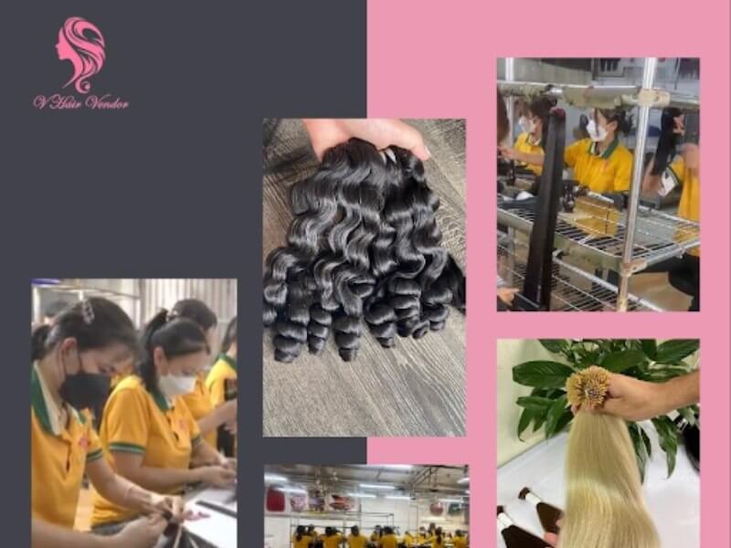 Vinhair: human Vietnamese hair for distributors 