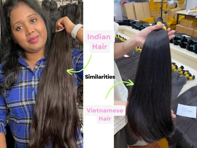 Indian hair and Vietnamese hair have some similarities.