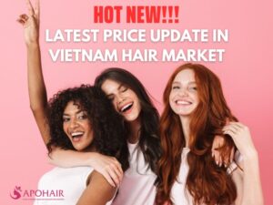 Overview of Vietnamese hair price