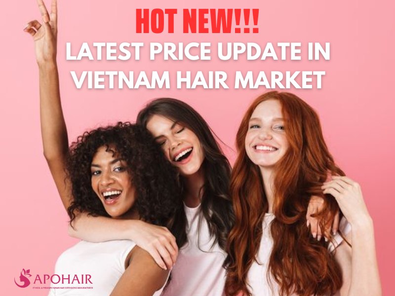  Overview of Vietnamese hair price