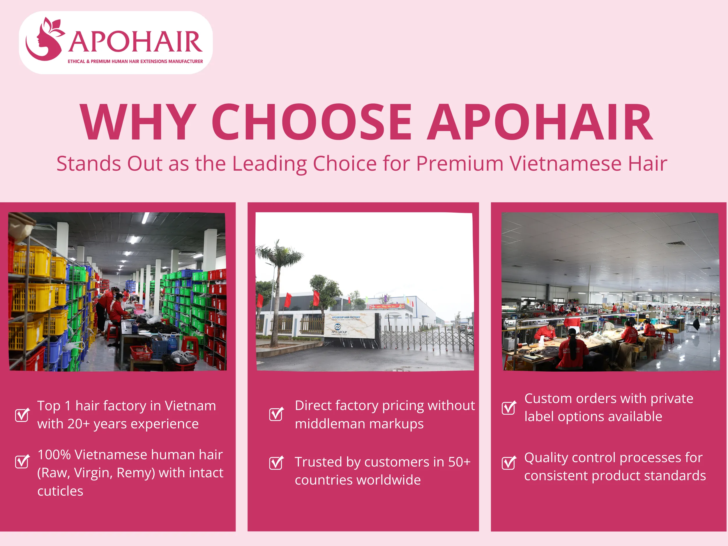 why choose apohair