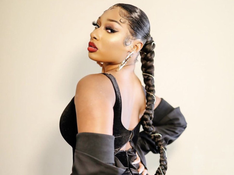 Megan Thee Stallion long hair and braid