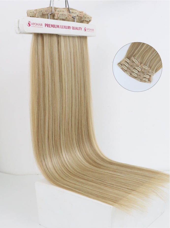 Premium Luxury Clip-in Extensions