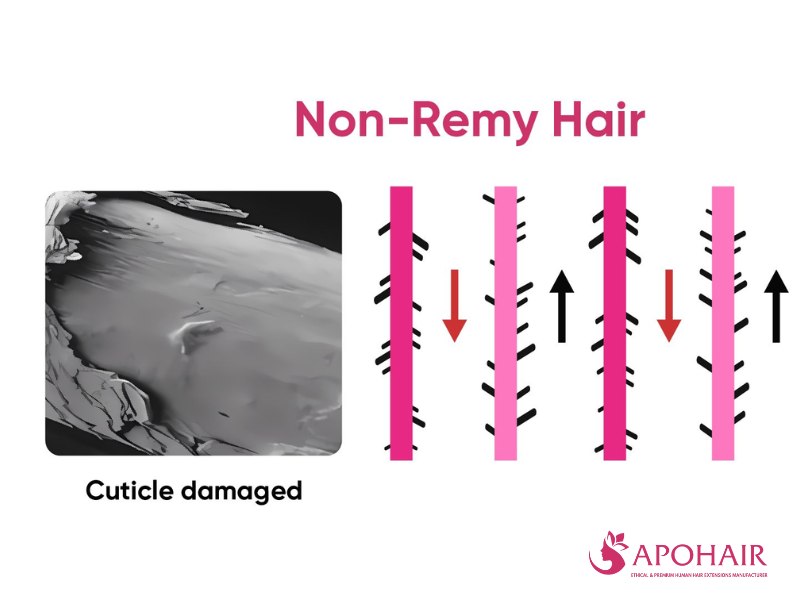 Non-Remy hair has low quality, with cuticles removed or misaligned, leading to a higher risk of tangling