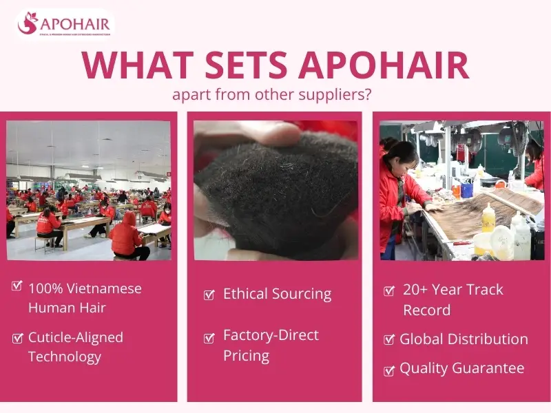 7 differentiators establish APOHAIR as the trusted supplier for premium hair extensions