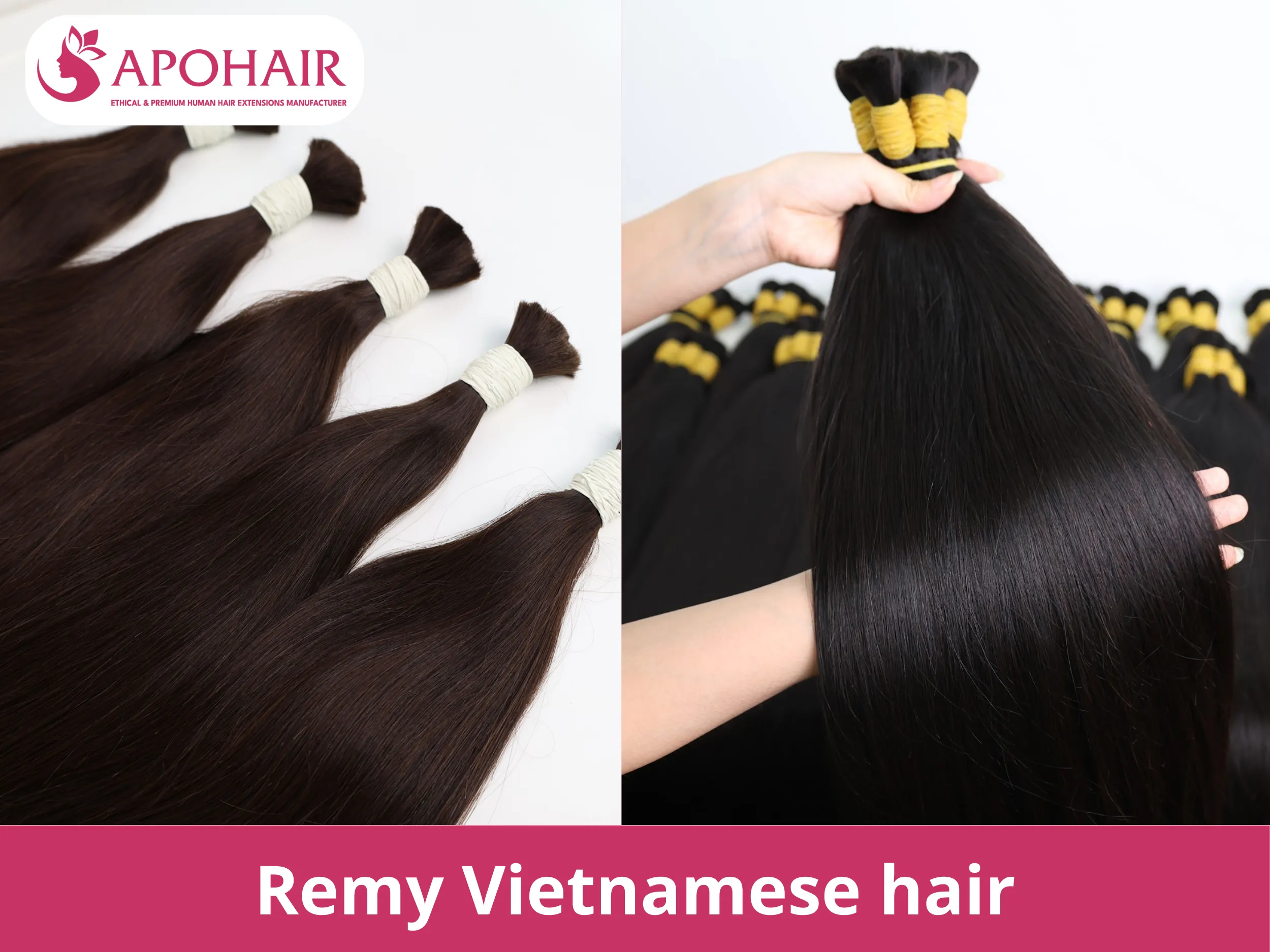 remy vietnamese hair