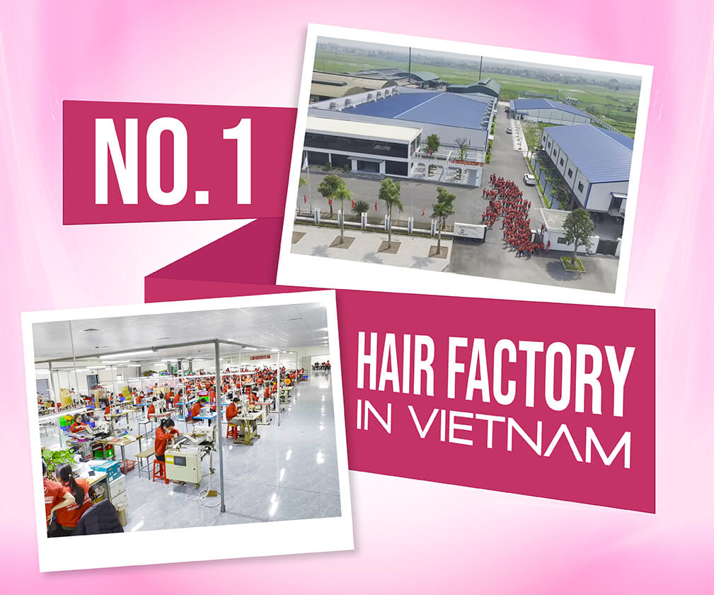 Apo Hair - #1 Vietnamese Hair Factory