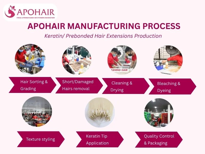 apohair manufacturing process