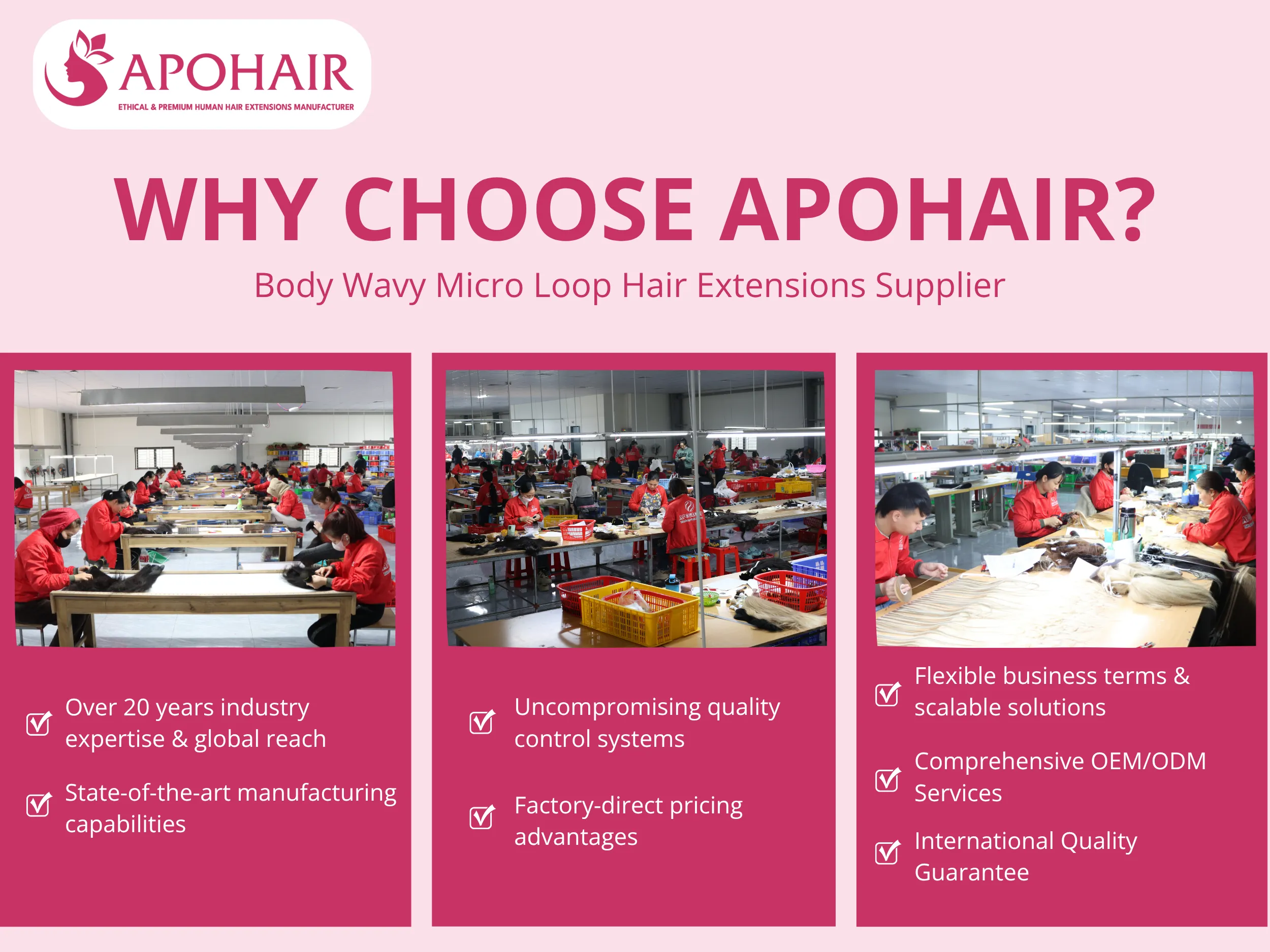 APOHAIR offers seven advantages combining quality and business support
