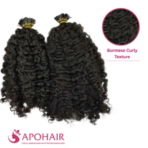 burmese curly i tip