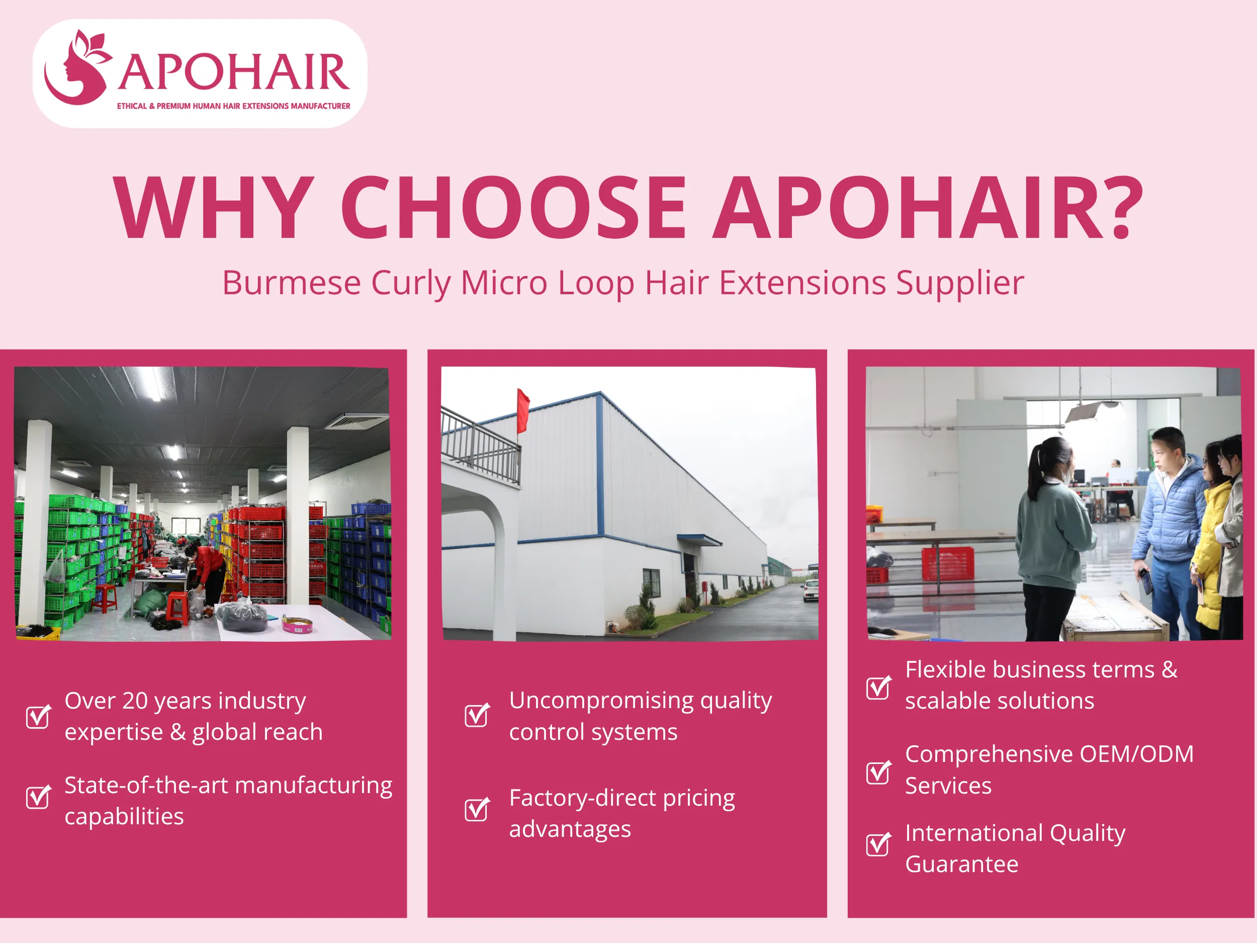 Seven compelling reasons make APOHAIR your optimal partner for Burmese Curly Micro Loop extensions