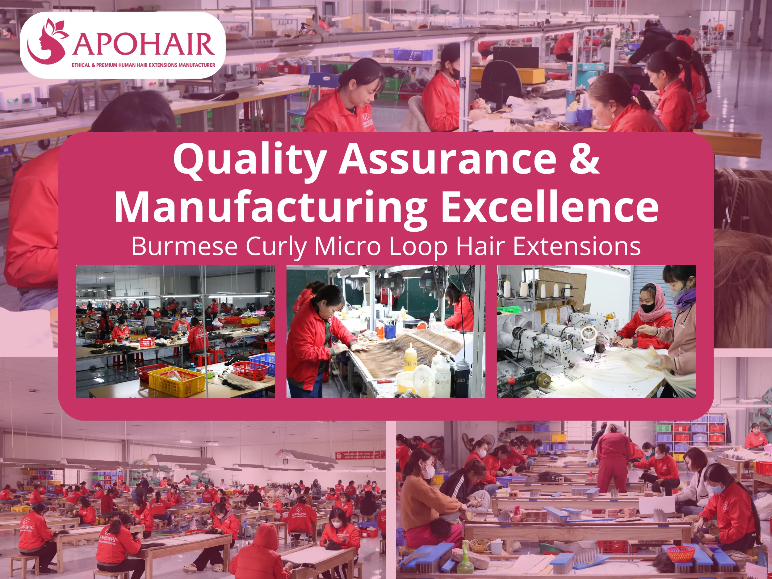 APOHAIR's Burmese Curly Micro Loop extensions undergo rigorous multi-stage quality control