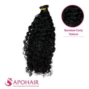 burmese curly u tip
