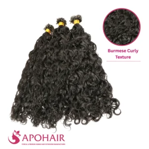 burmese curly v tip