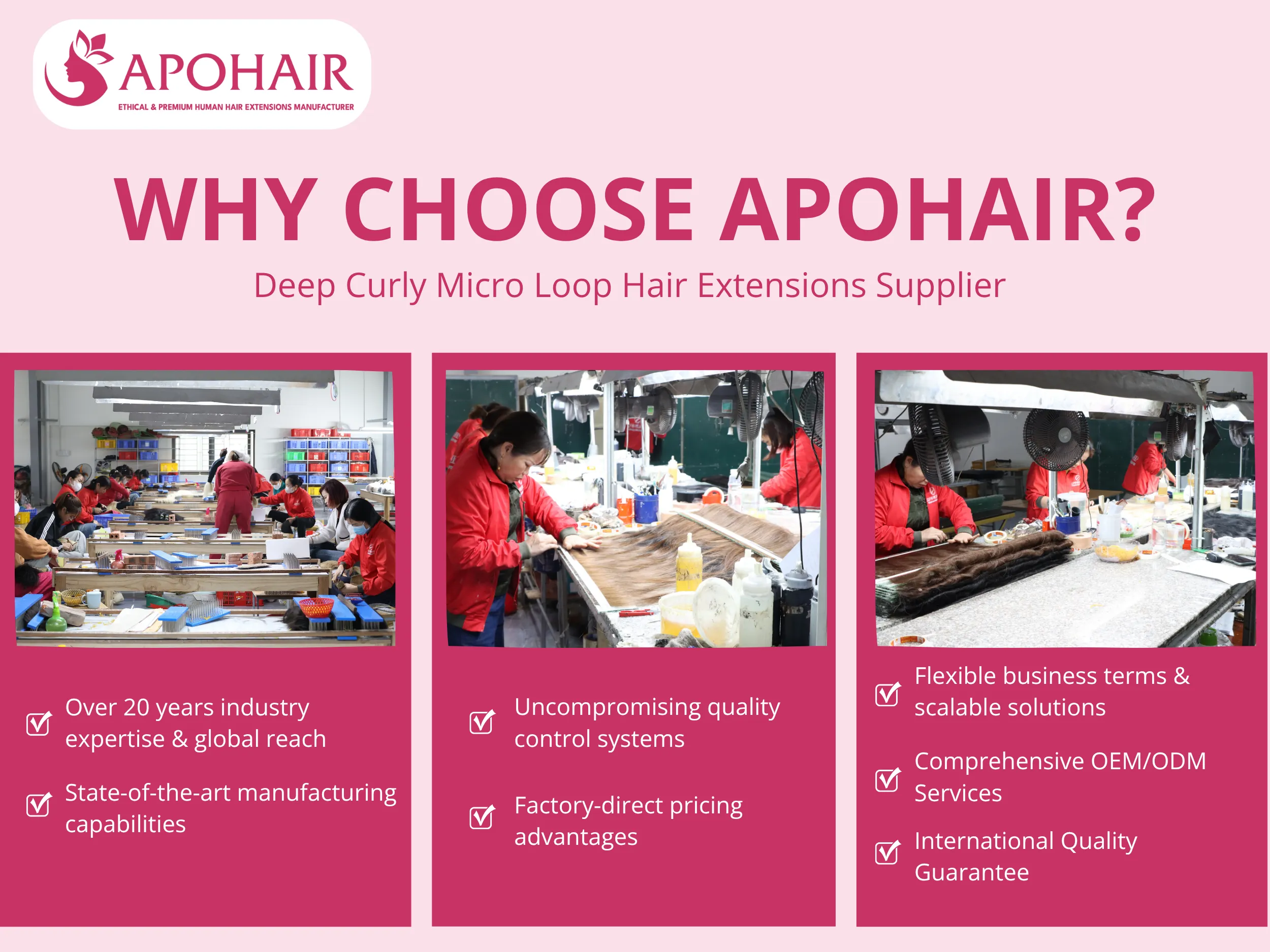 Seven strategic advantages make APOHAIR your preferred partner for Deep Curly Micro Loop extension