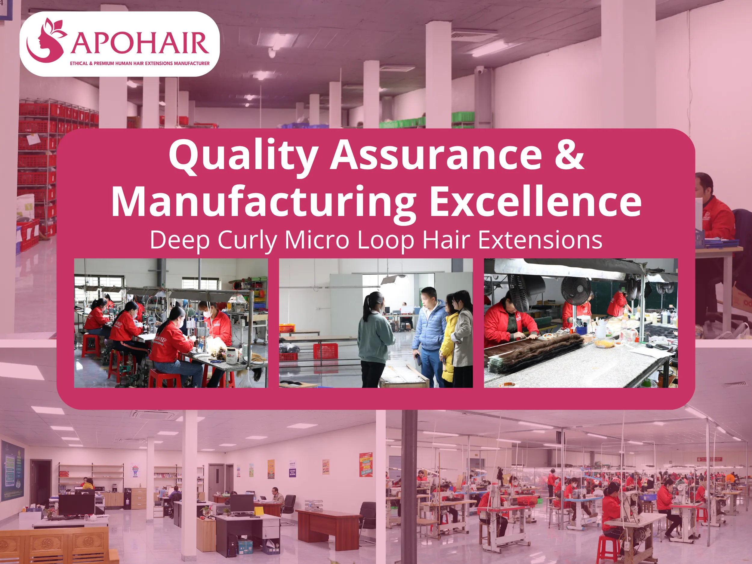 APOHAIR's Deep Curly Micro Loop extensions reflect rigorous production standards