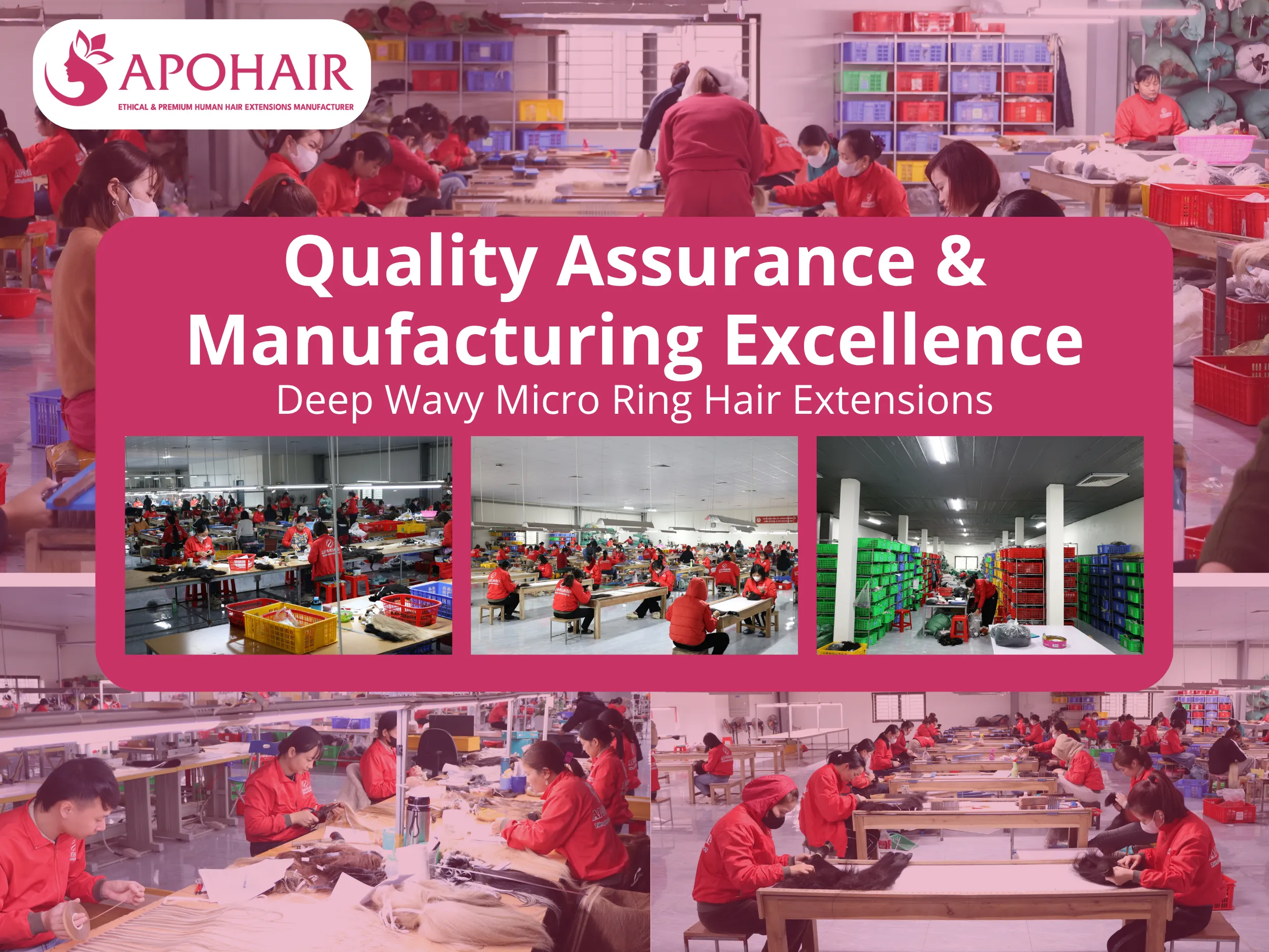 APOHAIR Deep Wavy Micro Rings ensure consistent quality and lasting client trust