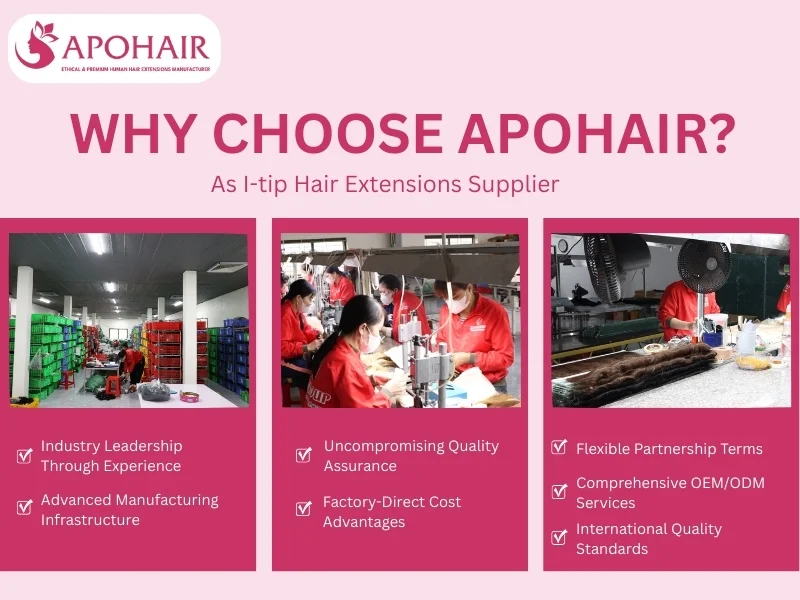 i-tip hair extensions supplier