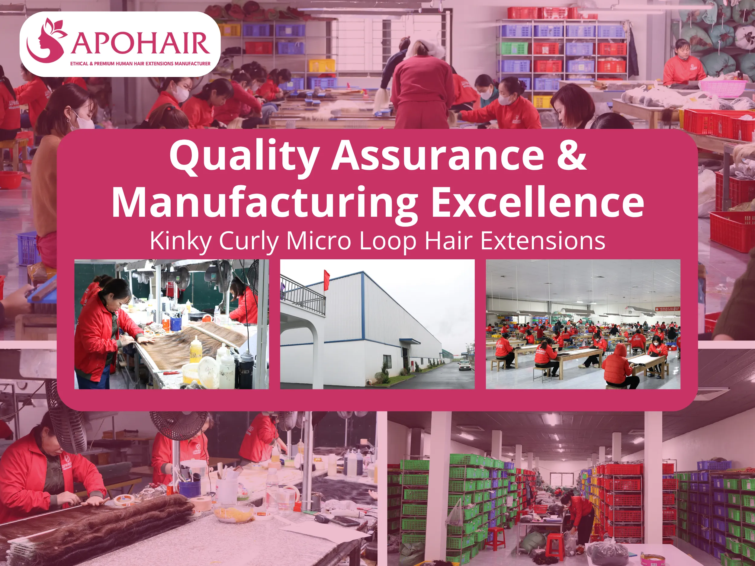 APOHAIR ensures Kinky Curly Micro Loop Extensions meet global standards and exceed expectations