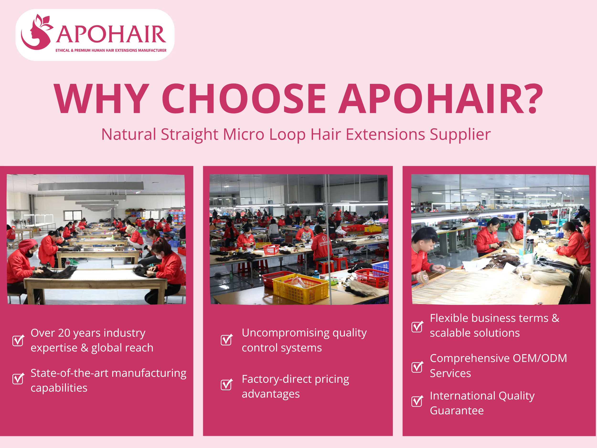 Seven strategic advantages make APOHAIR the preferred manufacturing partner for distributors and salon owners