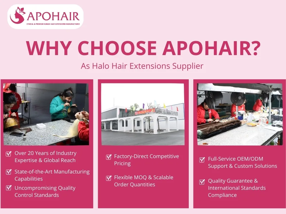 Strategic partnerships with APOHAIR give access to Vietnam's top hair extension manufacturer with expertise and advanced production