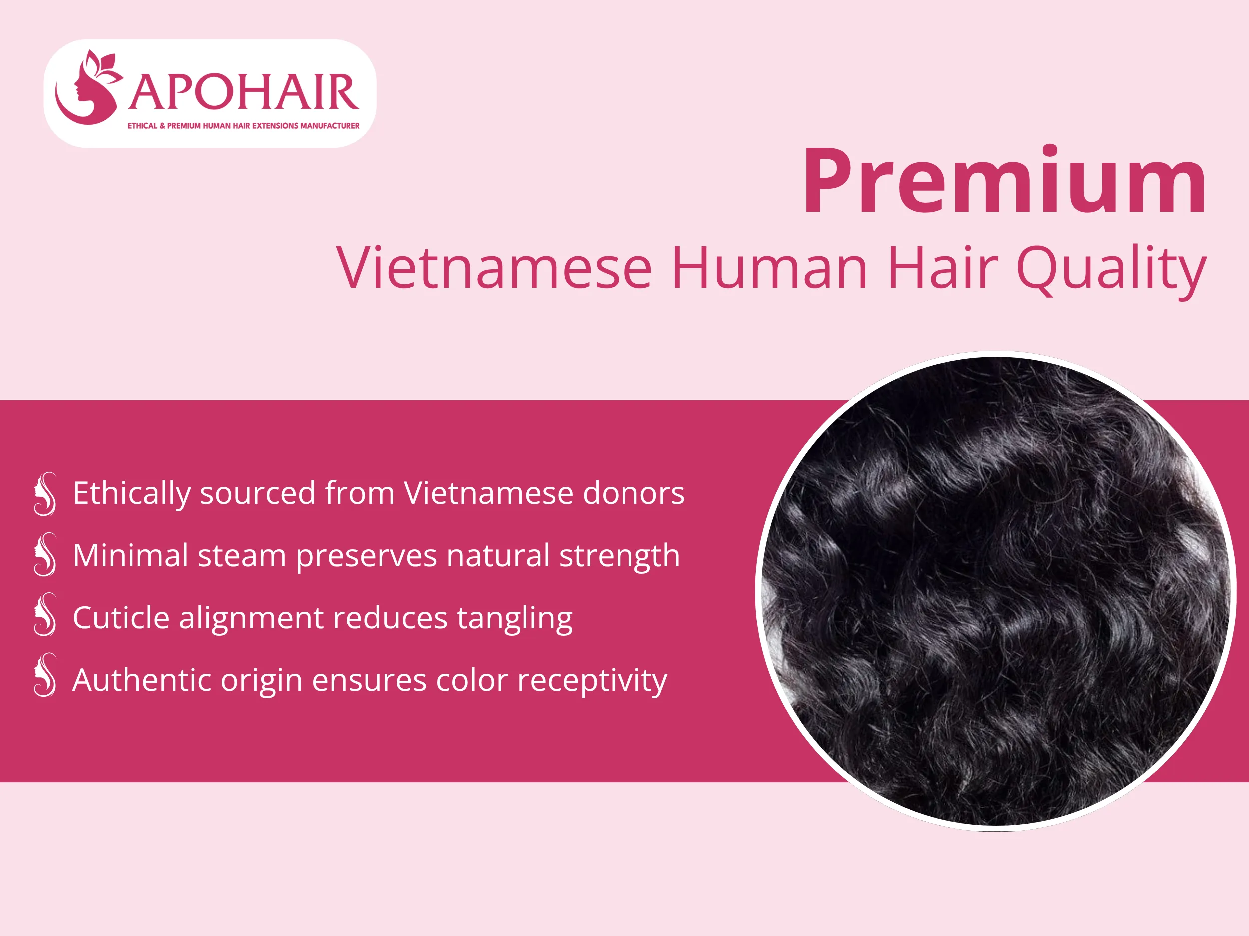 Each strand originates from Vietnamese donors, ethically sourced through transparent collection processes