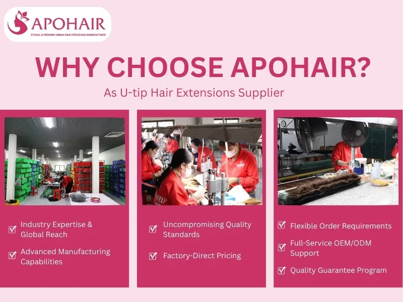 u-tip hair extensions supplier