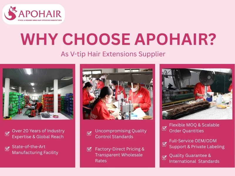 v-tip hair extensions supplier