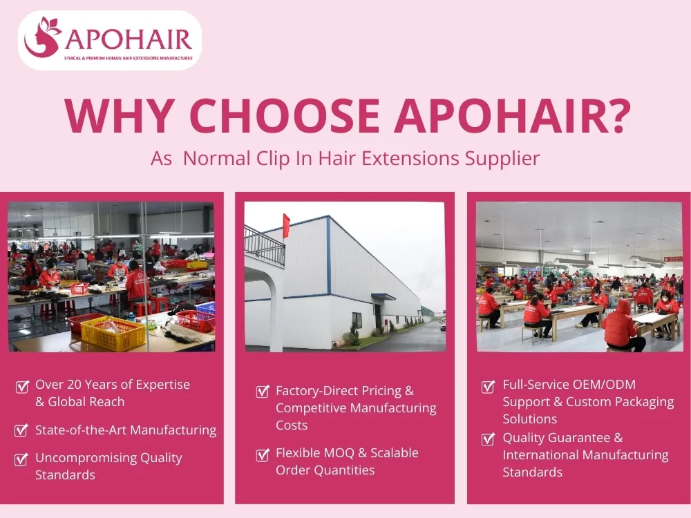 APOHAIR is Vietnam's premier wholesale partner for normal clip-in extensions, with expertise and advanced manufacturing
