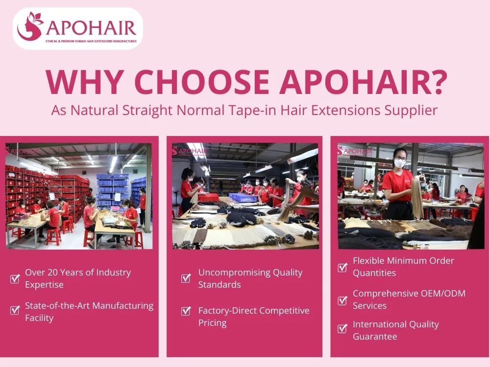 why choose apohair supplier