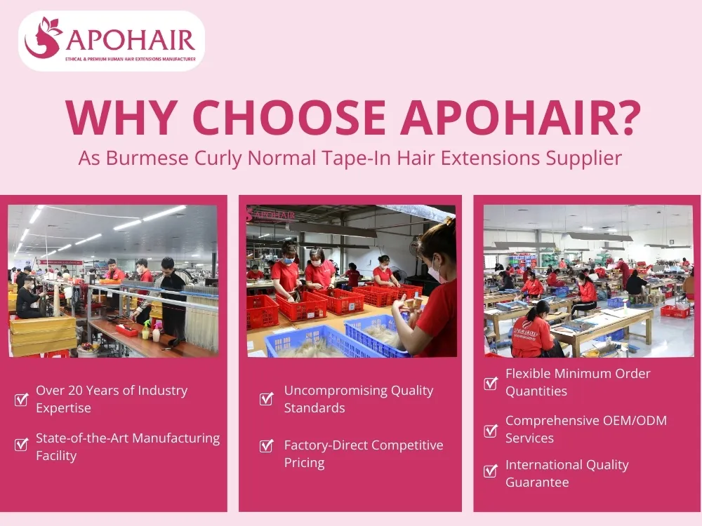 why choose supplier