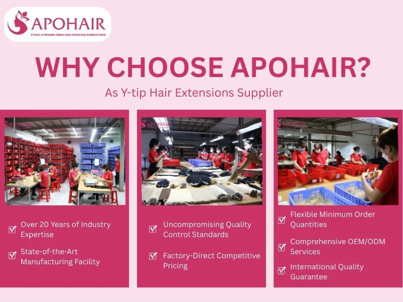 y-tip hair extensions supplier