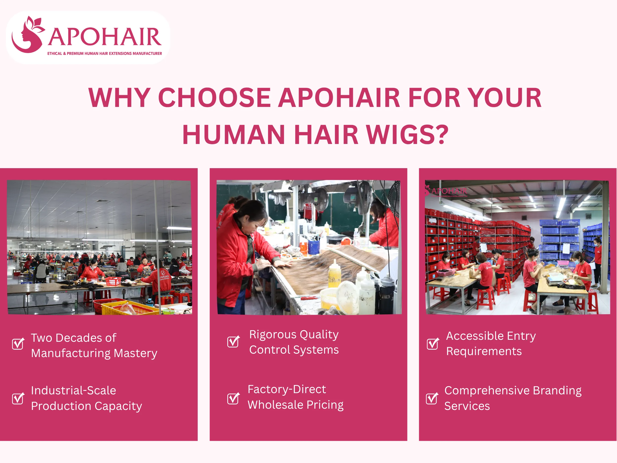 APOHAIR's excellence extends to every part of our wholesale partnership