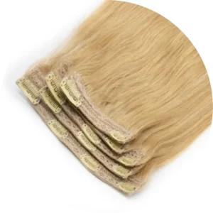 Clip-In Hair Extensions
