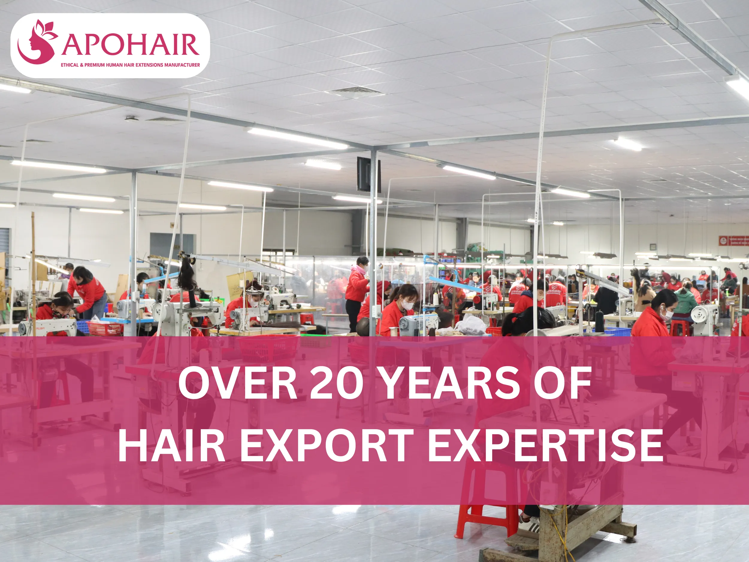 Over 20 Years of Hair Export Expertise of APOHAIR