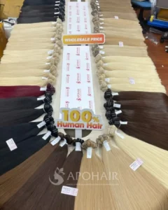 apohair 100 human hair wholesale prices