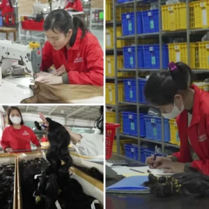 Apohair's employees are working in a factory supplying human hair